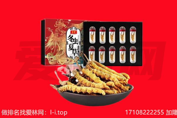 开封市尉氏回收虫草.jpg
